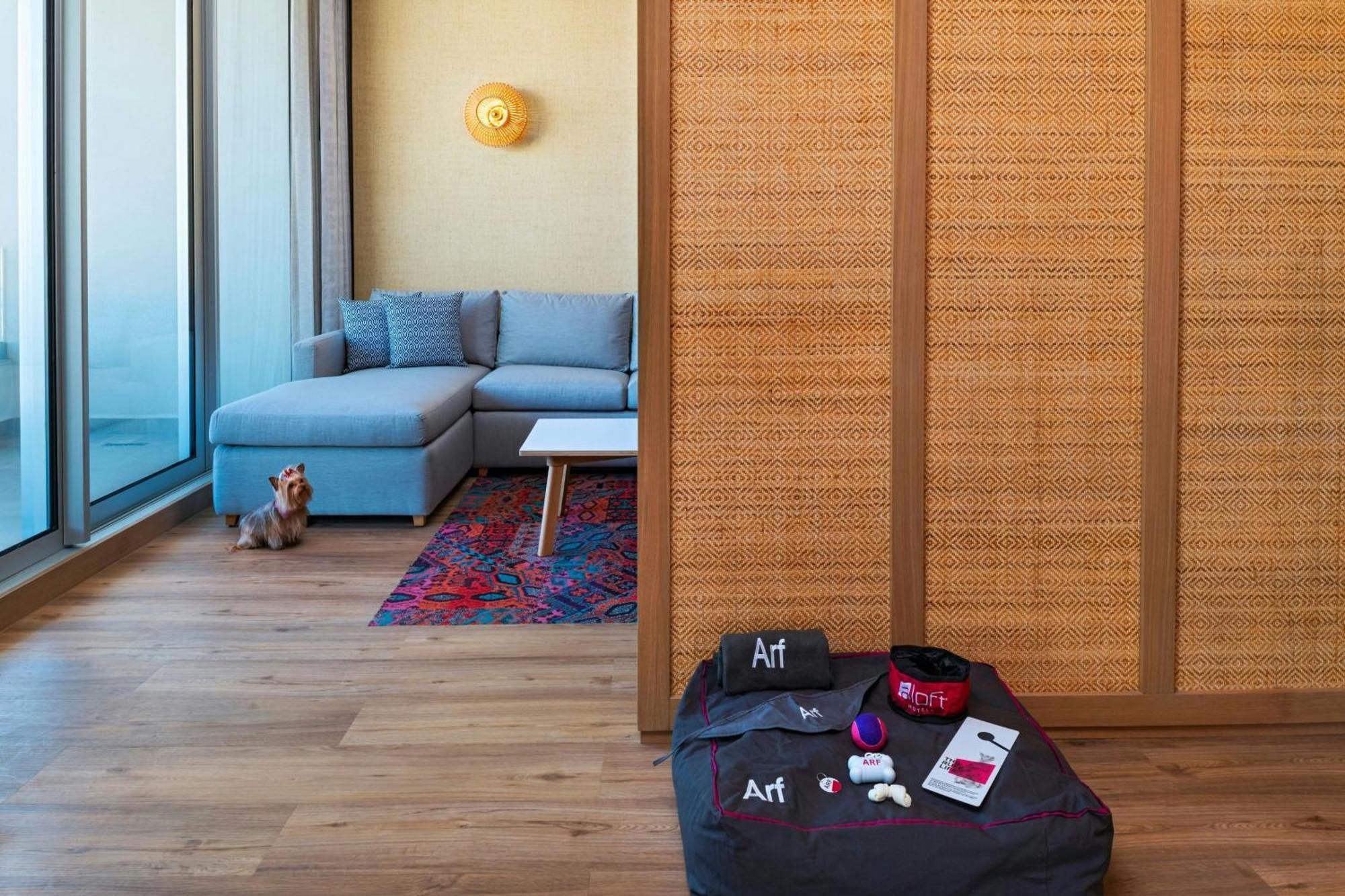 Отель Aloft Плая-дель-Кармен Экстерьер фото A room divider